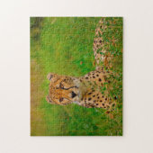 Cheetah Big Cats. Puzzle (Vertikal)