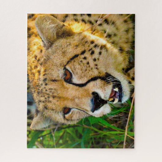Cheetah Big Cats. Puzzle (Vertikal)