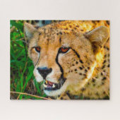 Cheetah Big Cats. Puzzle (Horizontal)