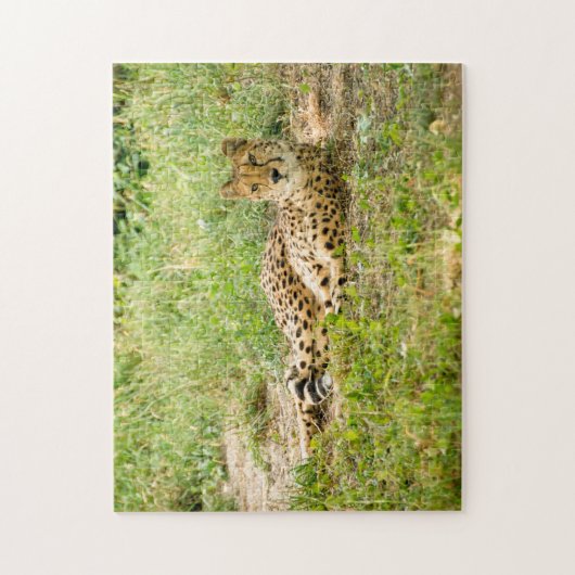 Cheetah Big Cats. Puzzle (Vertikal)