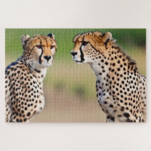 Cheetah Brothers Puzzle (Horizontal)