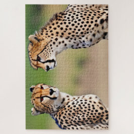 Cheetah Brothers Puzzle