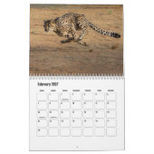 Cheetah Calendar Kalender (Feb 2027)