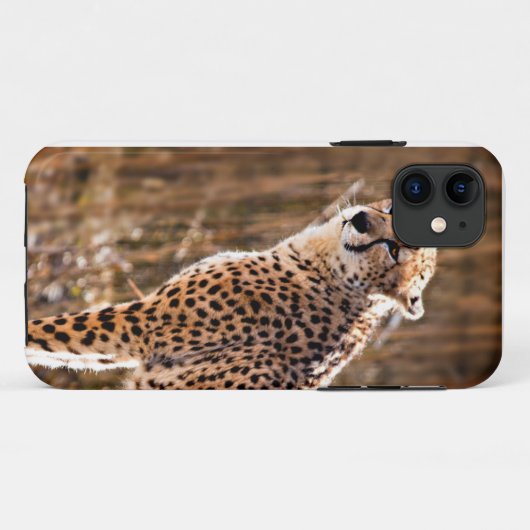 Cheetah Case-Mate iPhone Hülle (Rückseite (Horizontal))