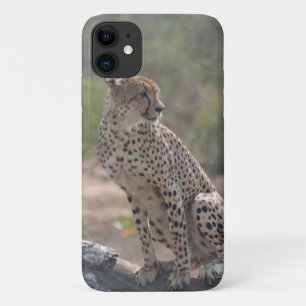 Cheetah Case-Mate iPhone Hülle