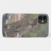 Cheetah Case-Mate iPhone Hülle (Rückseite (Horizontal))
