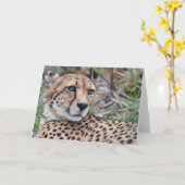Cheetah Cat Wilde Tiere Art Karte (Gelbe Blume)