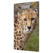 Cheetah Clipboard Klemmbrett (Links)