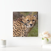 Cheetah Clock Quadratische Wanduhr (Zuhause)