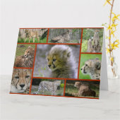 Cheetah-Collage001 Karte (Gelbe Blume)