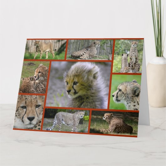 Cheetah-Collage001 Karte (Vorderseite)