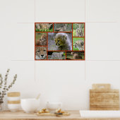 Cheetah-Collage 001 Poster (Küche)