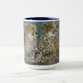 Cheetah Combo Tasse (Zentrum)