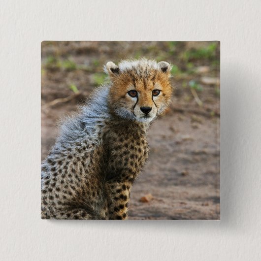 Cheetah Cub Acinonyx Jubatus Button (Vorderseite)
