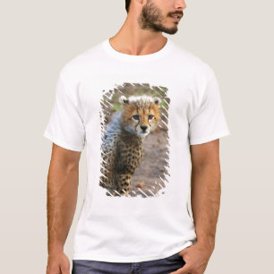 Cheetah Cub Acinonyx Jubatus T-Shirt
