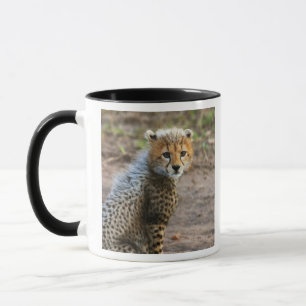 Cheetah Cub Acinonyx Jubatus Tasse