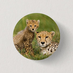 Cheetah Cub and Parque in Gras Button