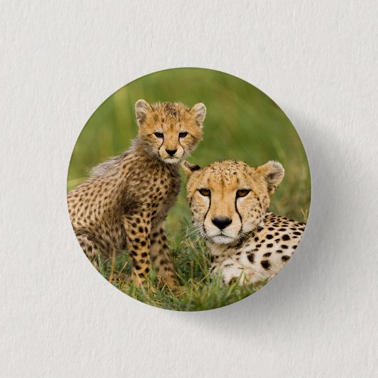 Cheetah Cub and Parque in Gras Button (Vorderseite)