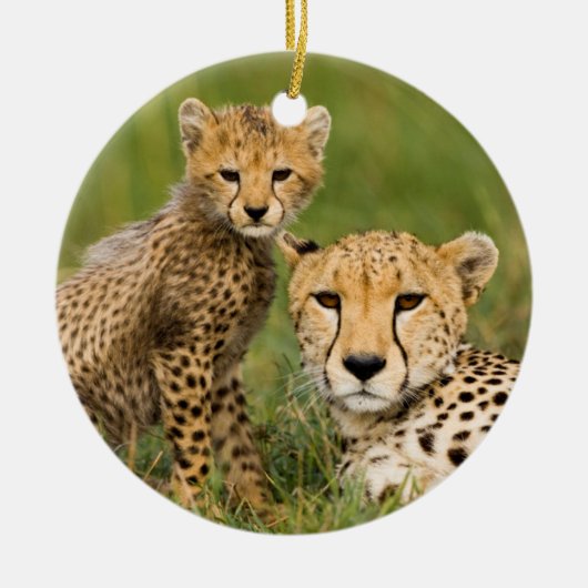 Cheetah Cub and Parque in Gras Keramik Ornament (Vorne)