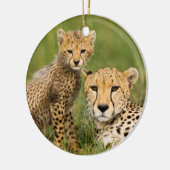 Cheetah Cub and Parque in Gras Keramik Ornament (Links)