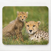 Cheetah Cub and Parque in Gras Mousepad (Vorne)
