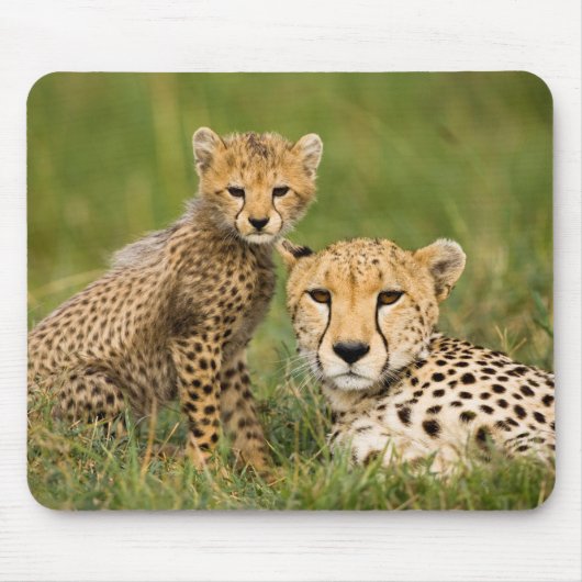 Cheetah Cub and Parque in Gras Mousepad (Vorne)