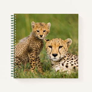 Cheetah Cub and Parque in Gras Notizblock