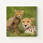 Cheetah Cub and Parque in Gras Notizblock (Rückseite)
