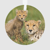 Cheetah Cub and Parque in Gras Ornament (Rückseite)