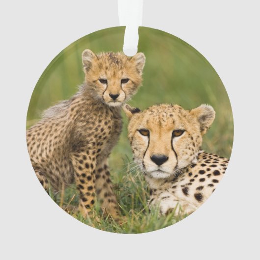 Cheetah Cub and Parque in Gras Ornament (Rückseite)