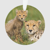 Cheetah Cub and Parque in Gras Ornament (Vorderseite)