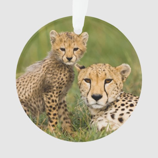 Cheetah Cub and Parque in Gras Ornament (Vorderseite)
