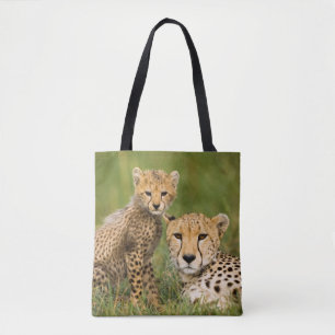 Cheetah Cub and Parque in Gras Tasche