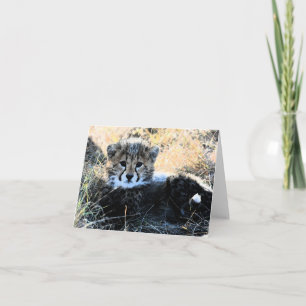 Cheetah cub anpassbare Karte