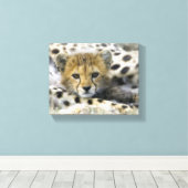 Cheetah Cub Leinwanddruck (Insitu (Holzboden))
