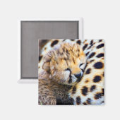 Cheetah Cub Magnet (Vorderseite/Rückseite)