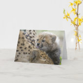 Cheetah Cub mit Mama Karte (Gelbe Blume)