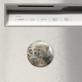 Cheetah Cub mit Mama Magnet (In Situ (Geschirrspüler))