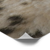 Cheetah Cub mit Mama Poster (Ecke)