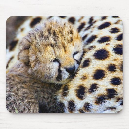 Cheetah Cub Mousepad (Vorne)