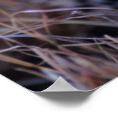 Cheetah Cub | Savannah, Kenia Poster (Ecke)