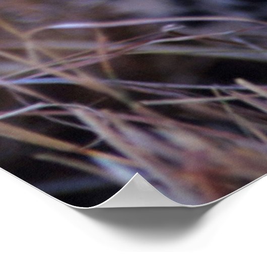 Cheetah Cub | Savannah, Kenia Poster (Ecke)