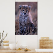 Cheetah Cub | Savannah, Kenia Poster (Küche)