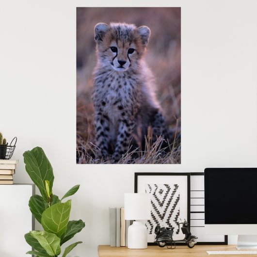 Cheetah Cub | Savannah, Kenia Poster (Heimbüro)
