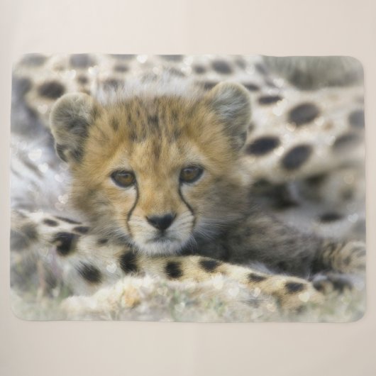 Cheetah Cub Sherpadecke (Vorderseite (Horizontal))