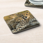 Cheetah Cub Snuggling mit seiner Mama Getränkeuntersetzer (Linke Seite)