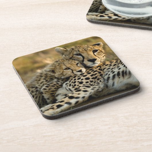 Cheetah Cub Snuggling mit seiner Mama Getränkeuntersetzer (Linke Seite)