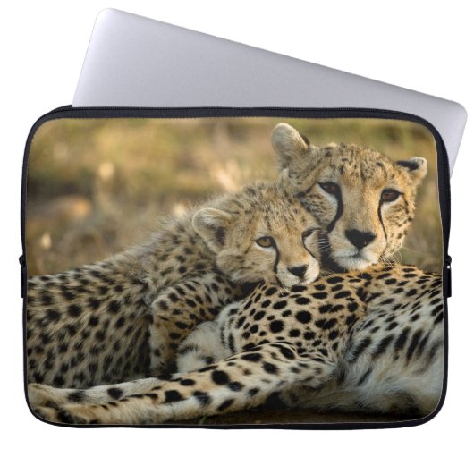 Cheetah Cub Snuggling mit seiner Mama Laptopschutzhülle (Vorderseite)