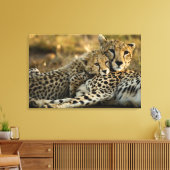 Cheetah Cub Snuggling mit seiner Mama Leinwanddruck (Insitu (Wohnzimmer))