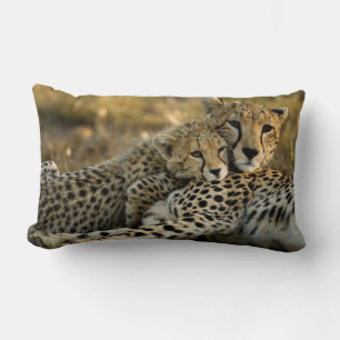 Cheetah Cub Snuggling mit seiner Mama Lendenkissen